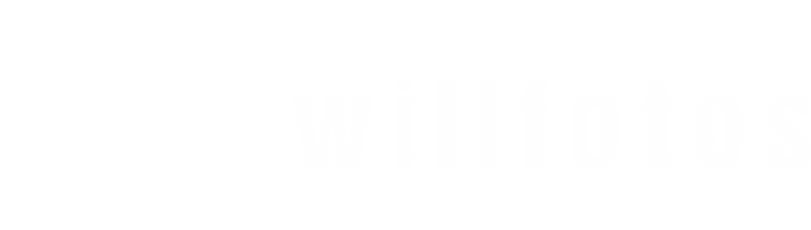 william fotografia